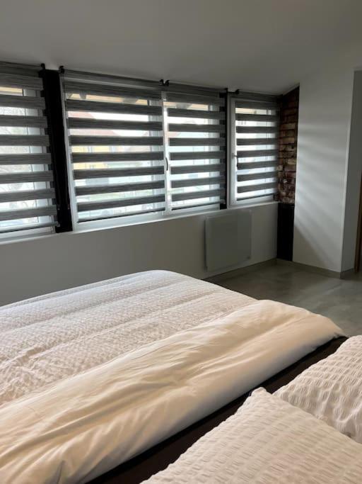Appartement Duplex Avec Jardin Ingersheim Zewnętrze zdjęcie